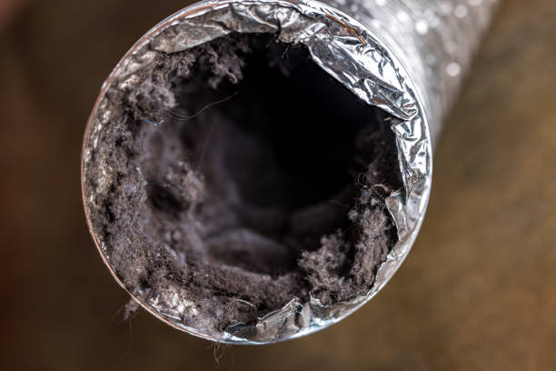 Best Home Air Vent Cleaning  in Harrison, WI